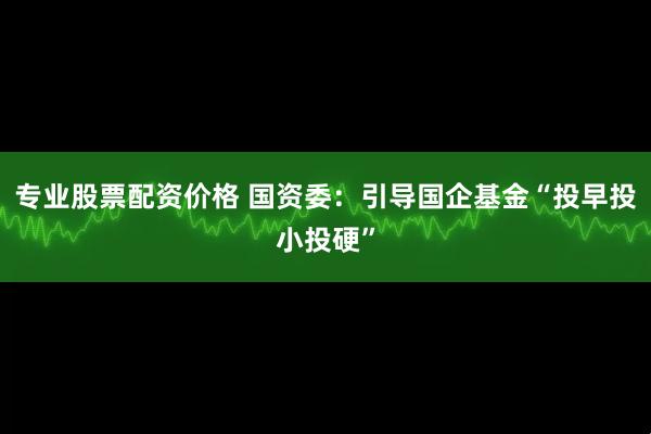 专业股票配资价格 国资委：引导国企基金“投早投小投硬”
